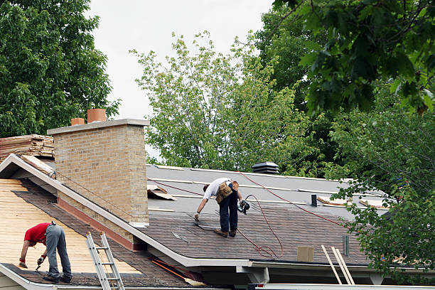 Best Roof Leak Repair  in Nikiski, AK